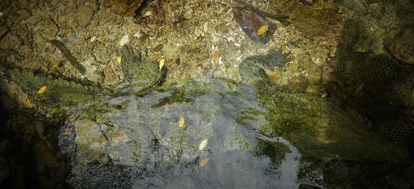 Scenic view of river flowing through cave