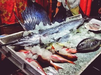 Close-up of fish for sale in market