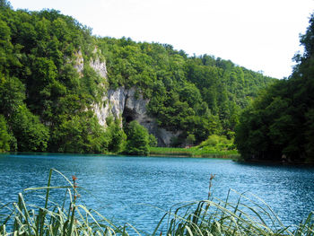 Scenic view of lake with trees in background