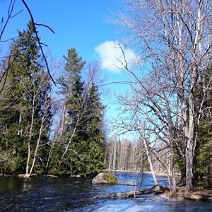 Scenic view of river against sky