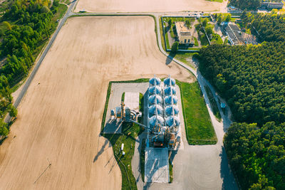 High angle view of trees by plants