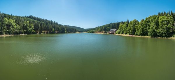 Scenic view of lake in forest against sky