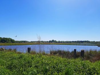 Scenic view of lake against clear blue sky