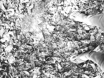 Low section of woman wearing shoes