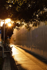 Street amidst trees against sky during sunset