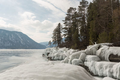 View of beautiful drawings on ice from cracks on the surface of lake teletskoye in winter, russia