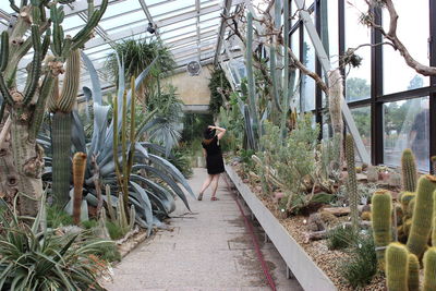 Rear view of woman walking in greenhouse