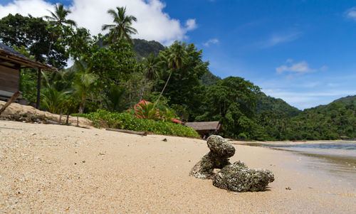 Scenic view of beach against sky