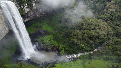 Scenic view of waterfall in forest