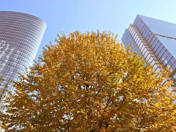Low angle view of trees against sky