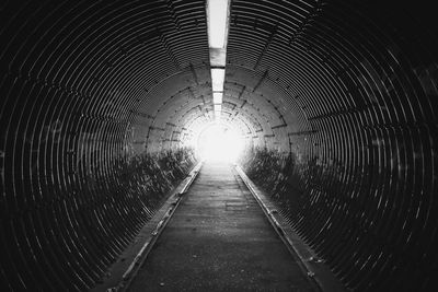 Narrow alley along trees
