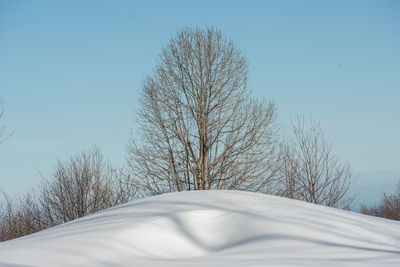 Bare tree on snow covered field against clear sky