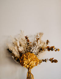 Close-up of wilted plant against white background