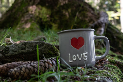 coffee cup