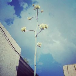 Low angle view of built structure against blue sky