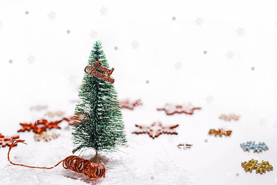 Christmas tree in snow