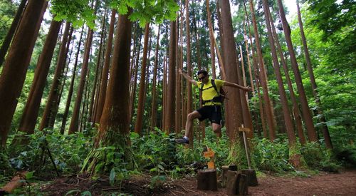 Man standing by trees in forest