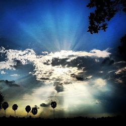 Scenic view of landscape against blue sky