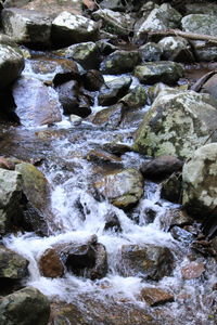 Scenic view of waterfall