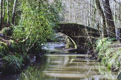 View of waterfall in forest