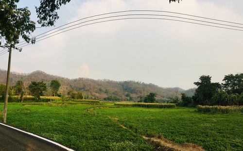 Scenic view of field against sky