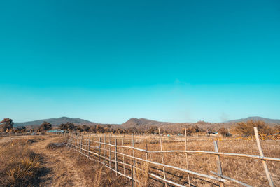 Scenic view of field against clear blue sky