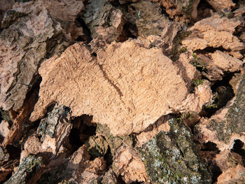 High angle view of rocks on rock