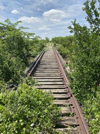 Railroad tracks by trees against sky