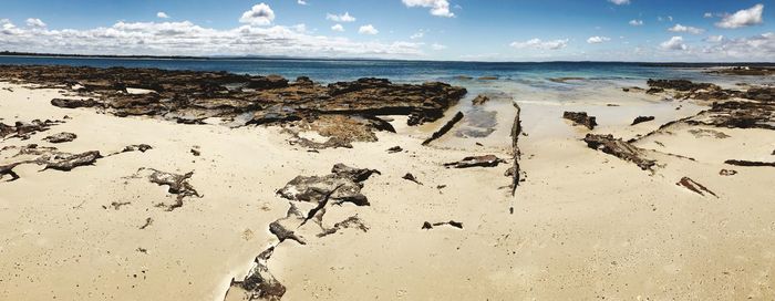 View of driftwood on beach against sky