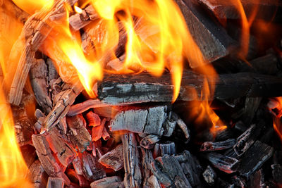 Firewood burning with bright fire close-up