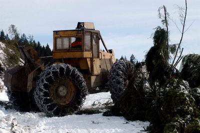 A skidder during wood harvesting, vehicle for transportation in forestry