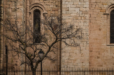 Facade of cathedral of siguenza, a small town in castilla la mancha, spain, with bare tree