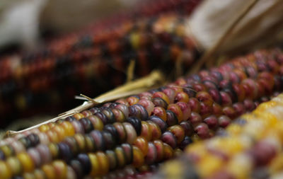 Close-up of sweetcorns