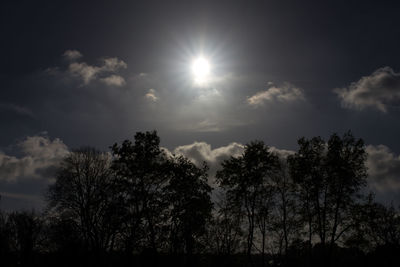 Low angle view of silhouette trees against sky