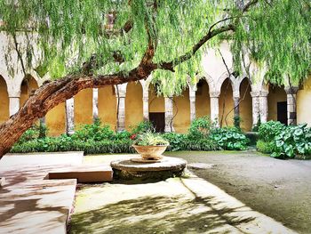 Potted plants in the garden