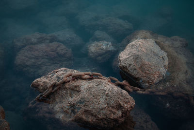 Close-up of rocks in sea