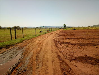 Dirt road amidst field against clear sky