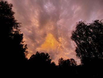 Low angle view of silhouette trees against orange sky