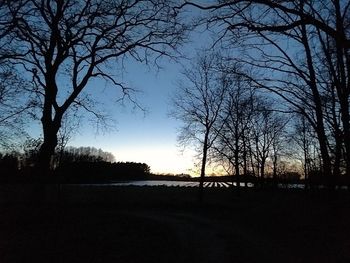 Silhouette bare trees on field against sky during sunset