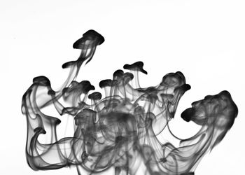 Close-up of electric lamp against white background