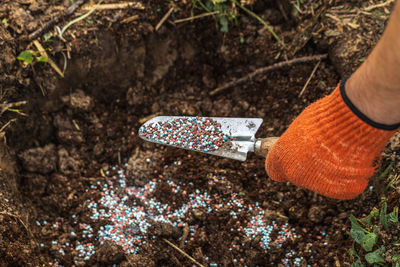 Low section of woman standing on field