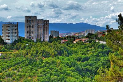 Trees and buildings against sky