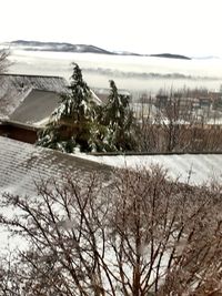 Scenic view of snow covered mountains