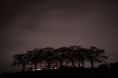 Silhouette of trees at night