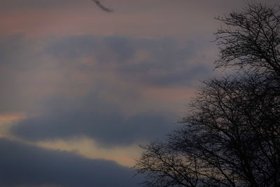 Low angle view of bare tree against sky at sunset