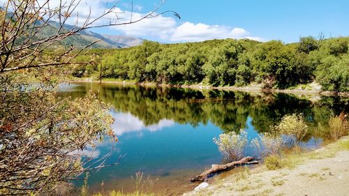 Scenic view of lake in forest against sky