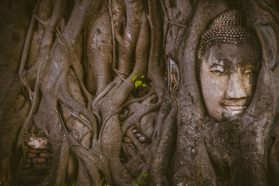 Close-up of buddha statue on tree