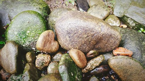 Rocks in sea