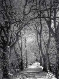 the way forward