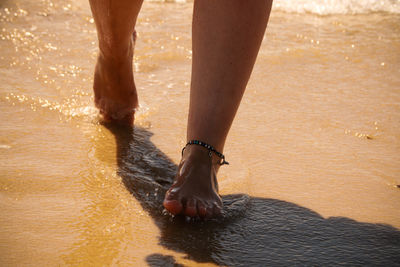 Low section of woman walking on beach in water